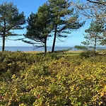 Altes Pastorenhus By Interhome アパート Osterbruch
