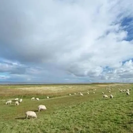 Altes Pastorenhus By Interhome דירה