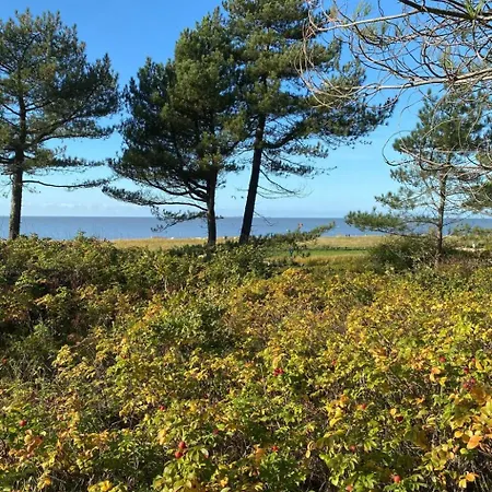 Altes Pastorenhus By Interhome דירה Osterbruch