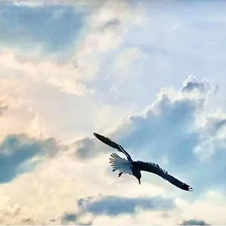 Altes Pastorenhus By Interhome *