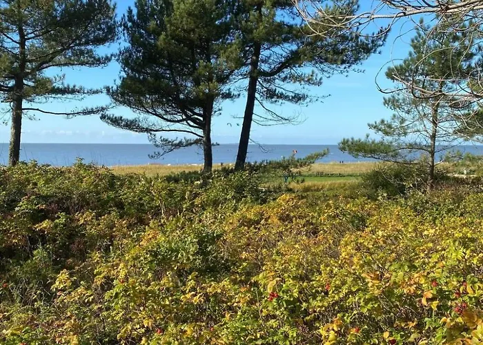 Altes Pastorenhus By Interhome Διαμέρισμα Osterbruch