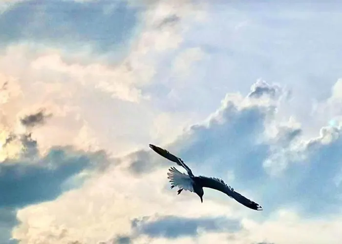 Altes Pastorenhus By Interhome *